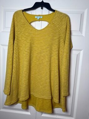 She + Sky Women’s striped tunic top